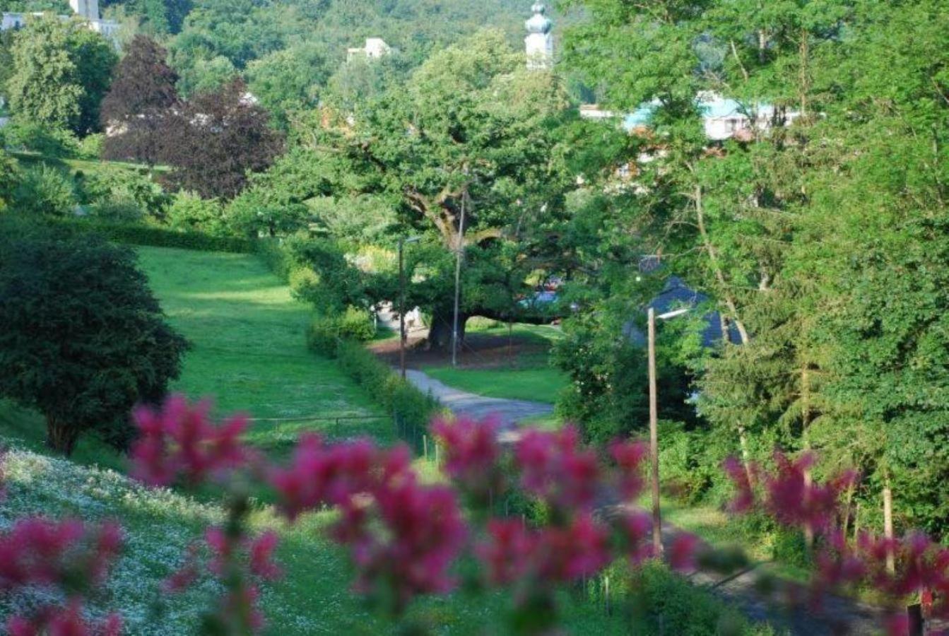 Rhoen Hotel Waldcafe St. Georg Staatsbad Bruckenau Bagian luar foto