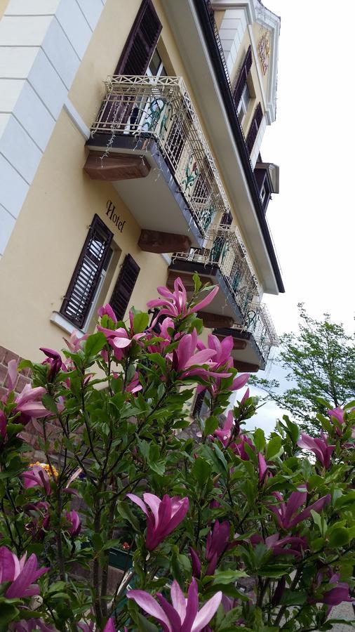 Rhoen Hotel Waldcafe St. Georg Staatsbad Bruckenau Bagian luar foto