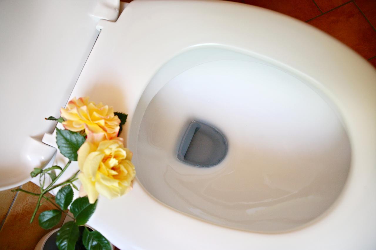 Rhoen Hotel Waldcafe St. Georg Staatsbad Bruckenau Bagian luar foto