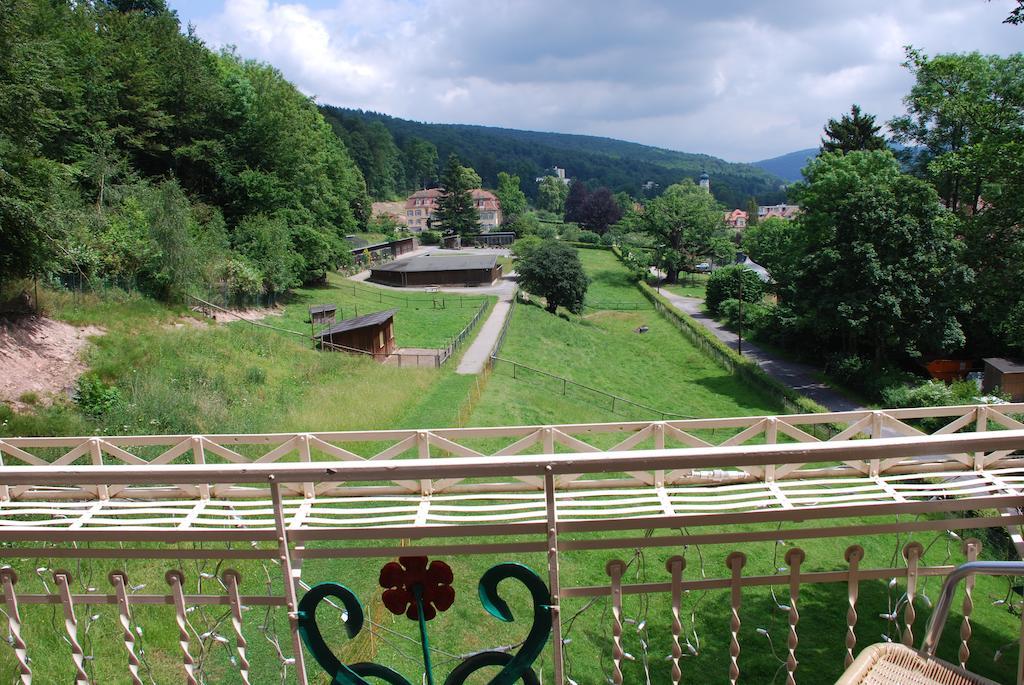 Rhoen Hotel Waldcafe St. Georg Staatsbad Bruckenau Bagian luar foto