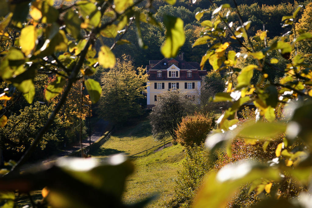 Rhoen Hotel Waldcafe St. Georg Staatsbad Bruckenau Bagian luar foto